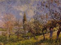 Sisley, Alfred - Orchard in Spring
